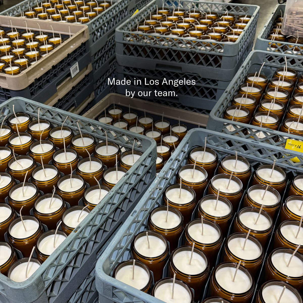 Amber & Moss – Large Concentrated Candle